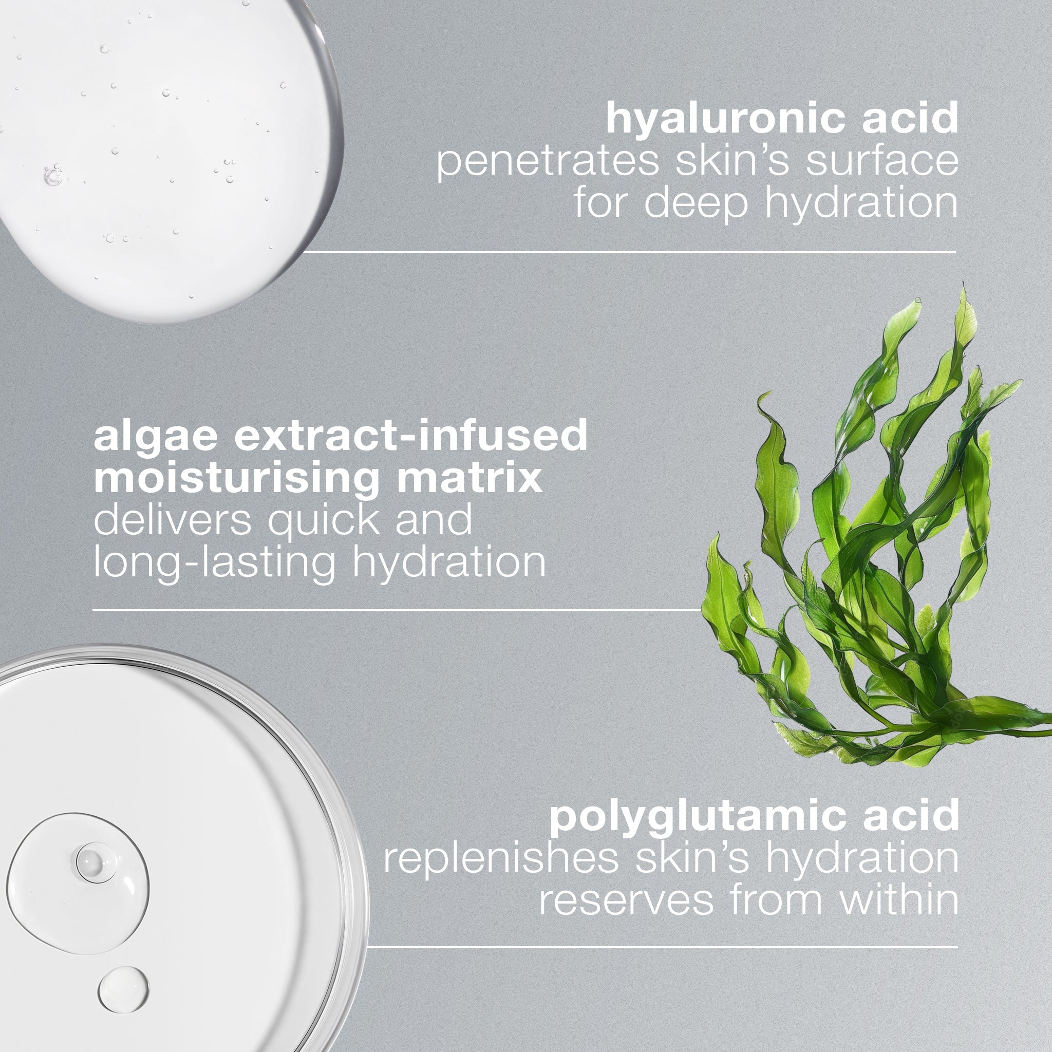 Dermalogica Circular Hydration Serum With Hyaluronic Acid