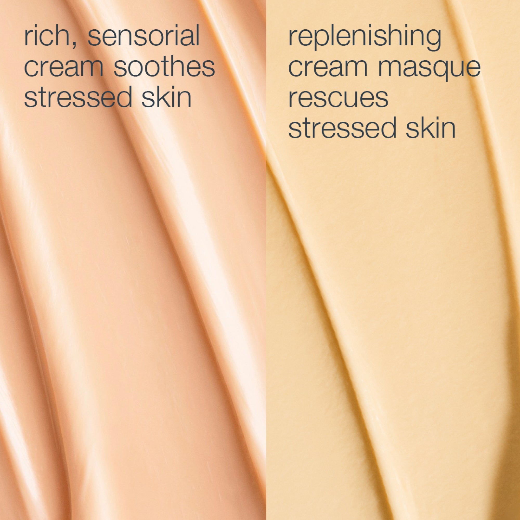 Dermalogica stressed skin recovery system
